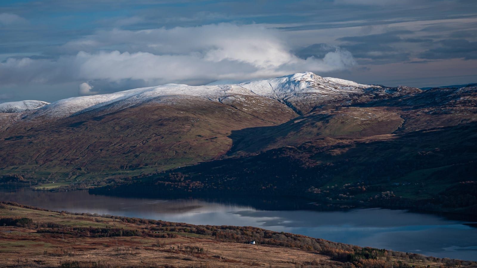 Atmospheric view through ancient trees over a misty Highland loch